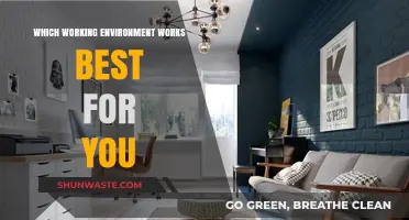 Discover Your Ideal Workspace: Tailoring Environments for Peak Productivity