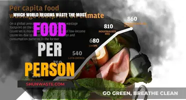 Global Food Waste: A Regional Breakdown of Per Capita Waste