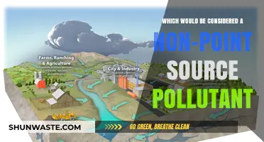 Understanding Non-Point Source Pollutants: Common Environmental Contaminants Explained