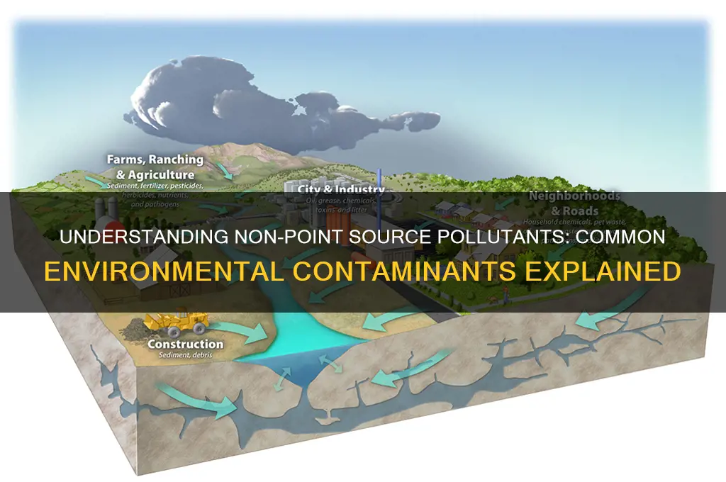 which would be considered a non-point source pollutant