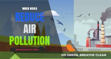 Green Solutions to Reduce Air Pollution