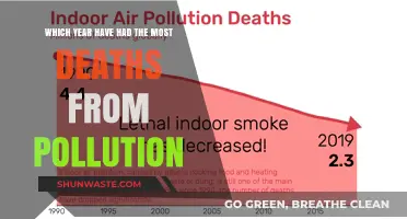 Deadliest Year for Pollution: Unveiling the Global Health Crisis