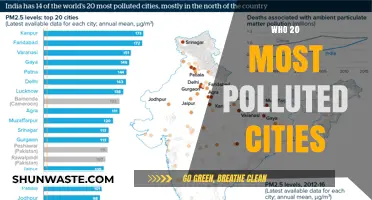 Unveiling the World's Most Polluted Cities: A Global Health Crisis