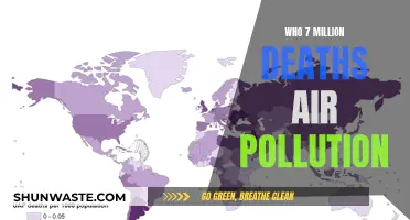 Air Pollution's Deadly Impact: 7 Million Deaths
