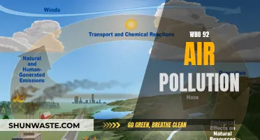 Air Pollution's Deadly Impact: 92% of People Breathe Unsafe Air