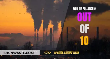 Air Pollution: A Universal Health Crisis