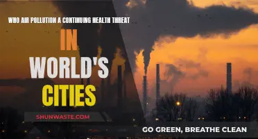 Air Pollution: A Persistent Urban Health Crisis
