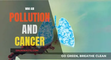 Air Pollution: A Cancer Risk?