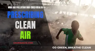 Clean Air for Children: Prescribing Health