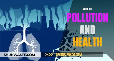 Air Pollution: A Health Hazard