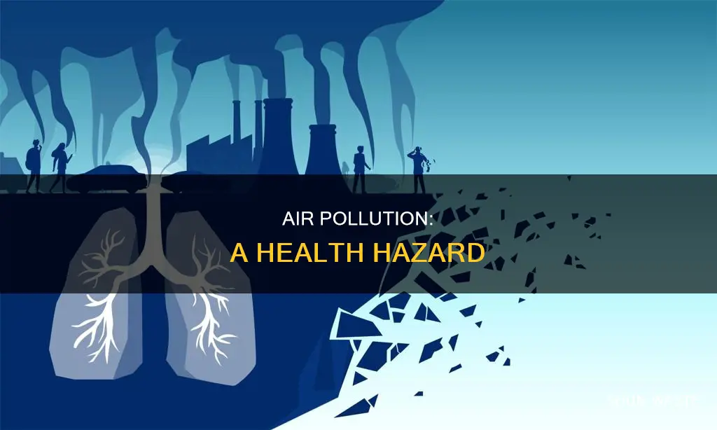 who air pollution and health