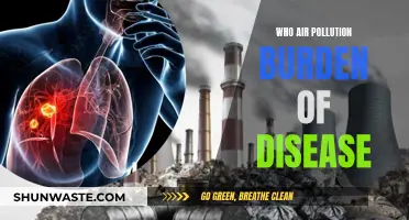 Air Pollution: A Global Health Crisis