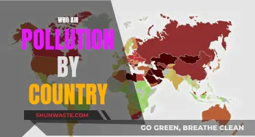 Air Pollution's Global Impact: Country Comparison