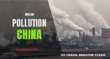 Air Pollution in China: Who Suffers Most?