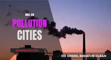 Air Pollution's Worst Offenders: Cities Exposed