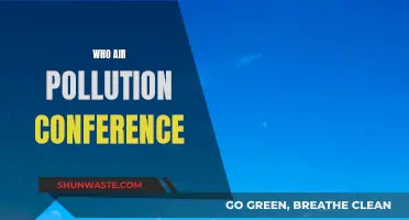 Air Pollution: Global Conference, Local Action