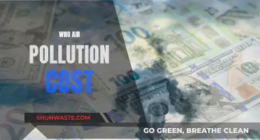 Air Pollution's Cost: A Global Health Crisis