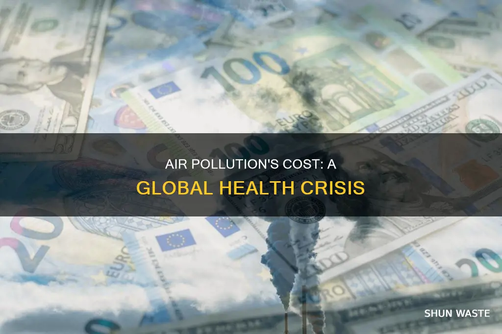who air pollution cost