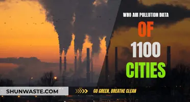Air Quality Insights: 1100 Cities, One Clear Picture