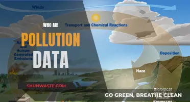 Air Pollution Data: Who's Watching?