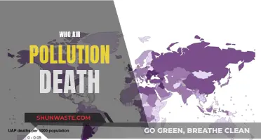 Air Pollution: A Silent Killer