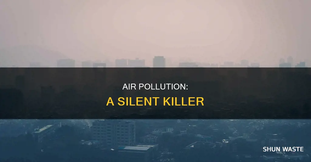 who air pollution death