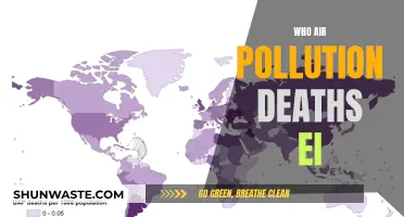 Air Pollution: A Silent Killer
