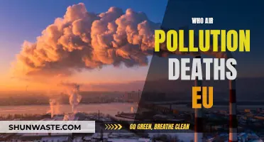 Air Pollution's Deadly Impact on Europeans