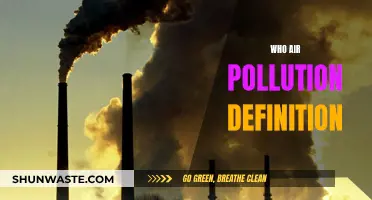 Air Pollution: What Is It and How Does It Affect Us?