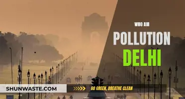 Delhi's Air Pollution: Who's to Blame?