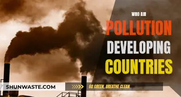 Air Pollution: Developing Countries' Crisis
