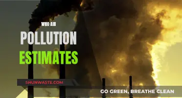 Air Pollution's Human Cost: Global Estimates