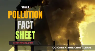 Air Pollution: Facts and Figures