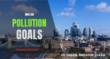 Air Pollution: Our Goals for Clean Air