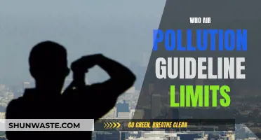 Air Pollution: Understanding the Guidelines and Limits