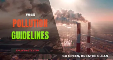 Air Pollution: Protecting Our Health