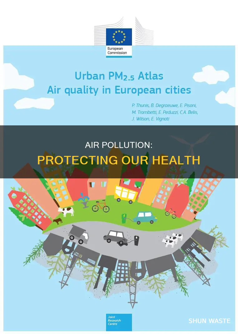 who air pollution guidelines