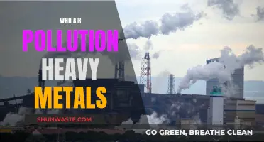 Air Pollution: Heavy Metal Contamination
