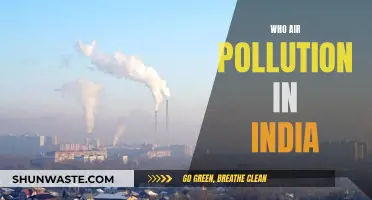 Air Pollution in India: A Deadly Crisis