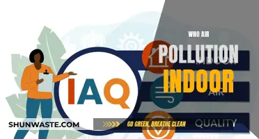 Indoor Air Pollution: Who's at Risk?