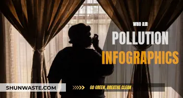 Air Pollution Visualized: Infographics for Awareness