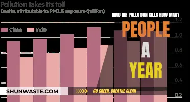 Air Pollution: A Silent Killer, Taking Lives