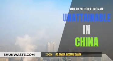 Air Pollution: China's Unattainable Standards