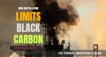 Black Carbon: Air Pollution's Dark Side