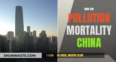 Air Pollution's Deadly Impact on China