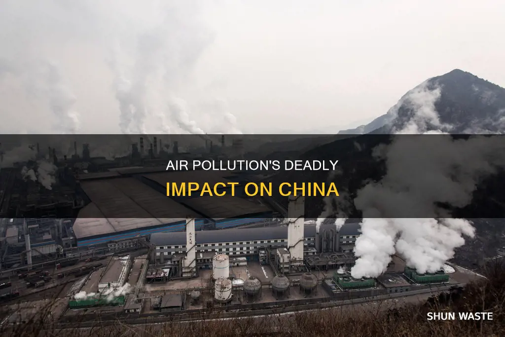 who air pollution mortality china