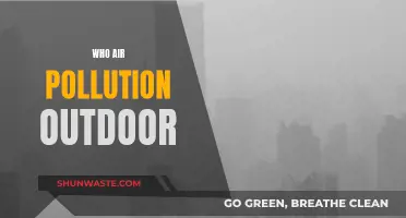 Outdoor Air Pollution: Who Suffers?