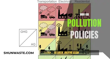 Air Pollution Policies: Saving Our Planet, One Breath at a Time