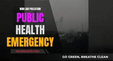 Air Pollution: A Public Health Emergency