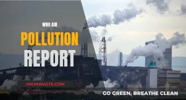 Air Pollution Report: Who's at Risk?